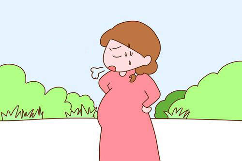 试管婴儿胎停育有哪些症状？原因有哪些?