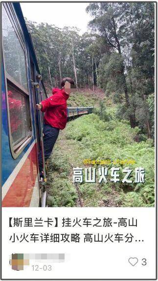 中国女游客国外火车上拍视频意外坠车 看似很“酷”风险巨大