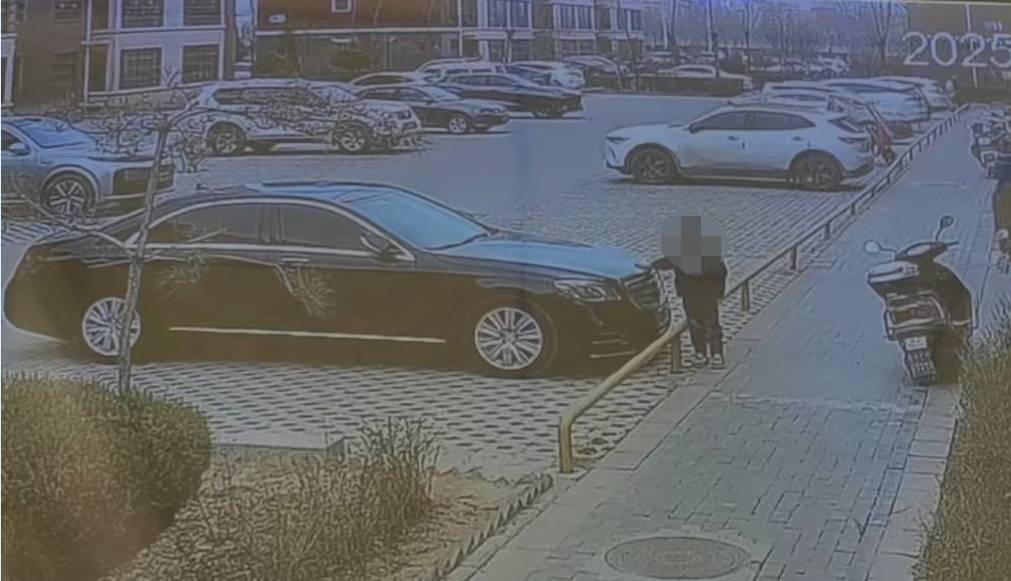 小孩掰断奔驰车标！车主索赔，家长：孩子还小……