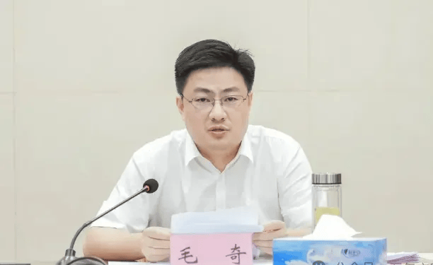 毛奇，获刑！