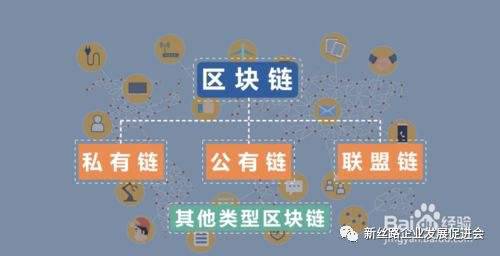 定制区块链服务(定制化的区块链技术专门用于支持财务信息应用)