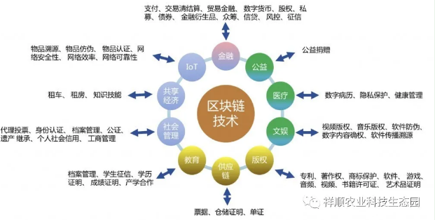区块链的发展历程(区块链的发展历程包括)